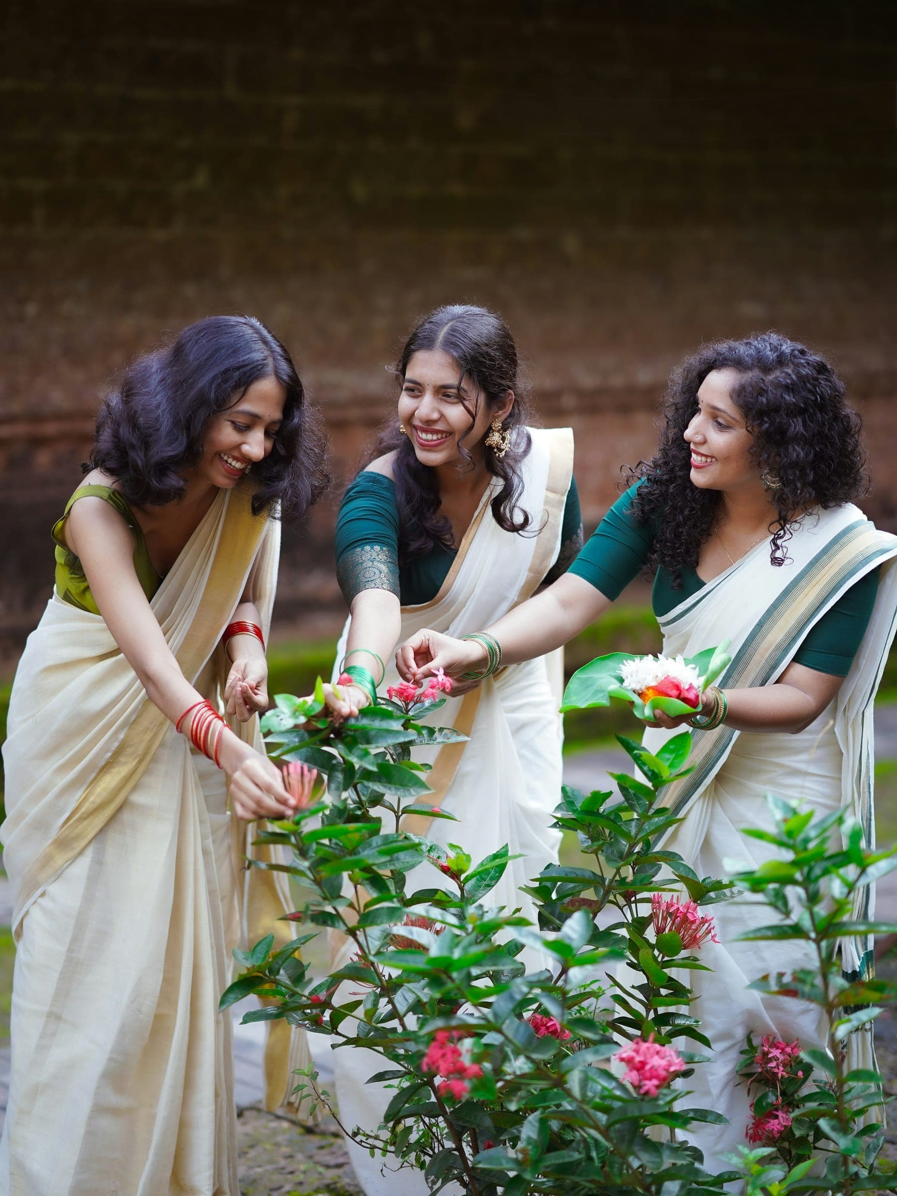 Three young women in ivory kasavu sarees laughing as they pick hibiscus flowers